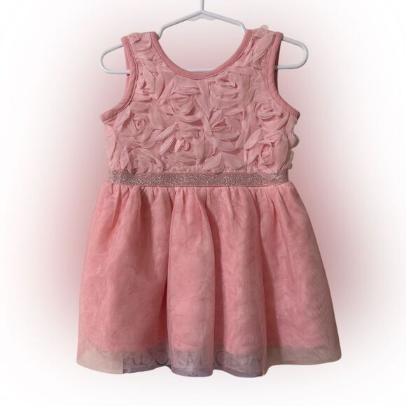 18-24m pink rose dress by the children’s place- worn 1 time - Picture 1 of 2